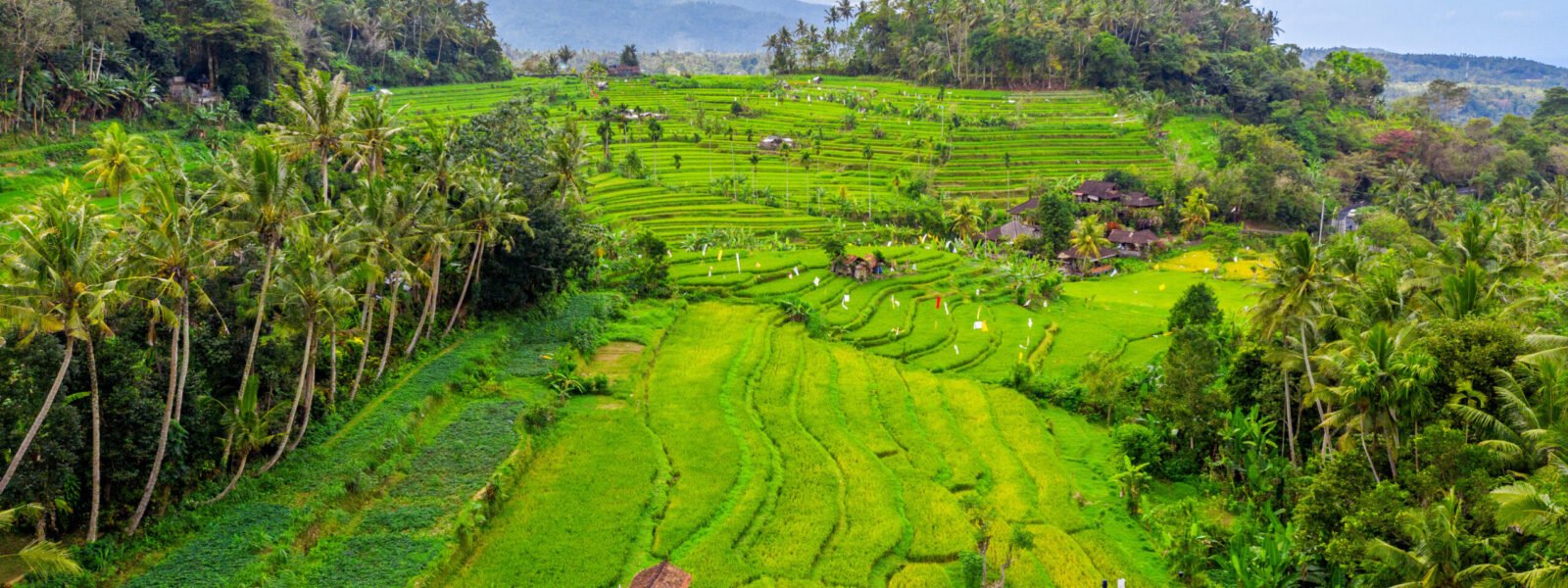 Indonesia